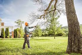 Best Tree Preservation Services  in Arkansas City, KS